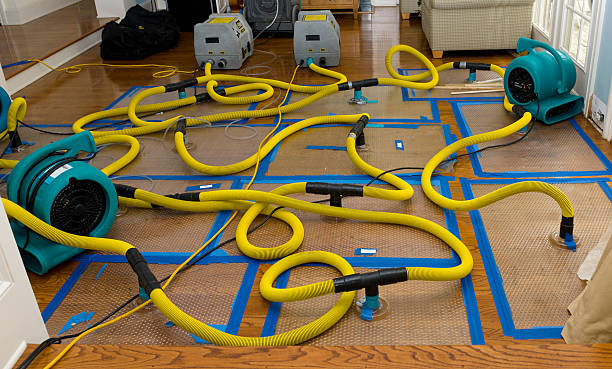 Professional Water Extraction technician working in Yorktown, TX
